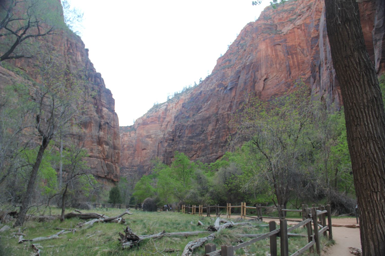 Riverside Walk Trail 